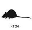 Rattensilhouette