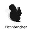 Eichhoernchensilhouette